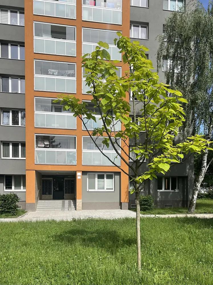 1+kk, tř. 17. listopadu, Karviná, Moravskoslezský kraj