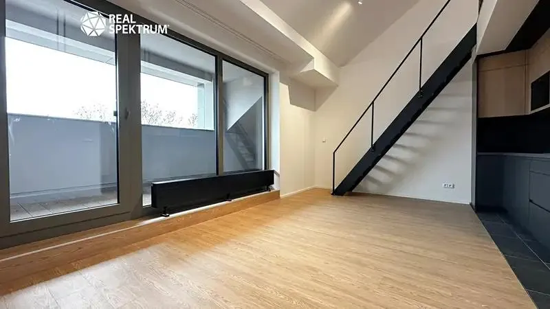 1+kk, Koliště, Brno-město, Jihomoravský kraj