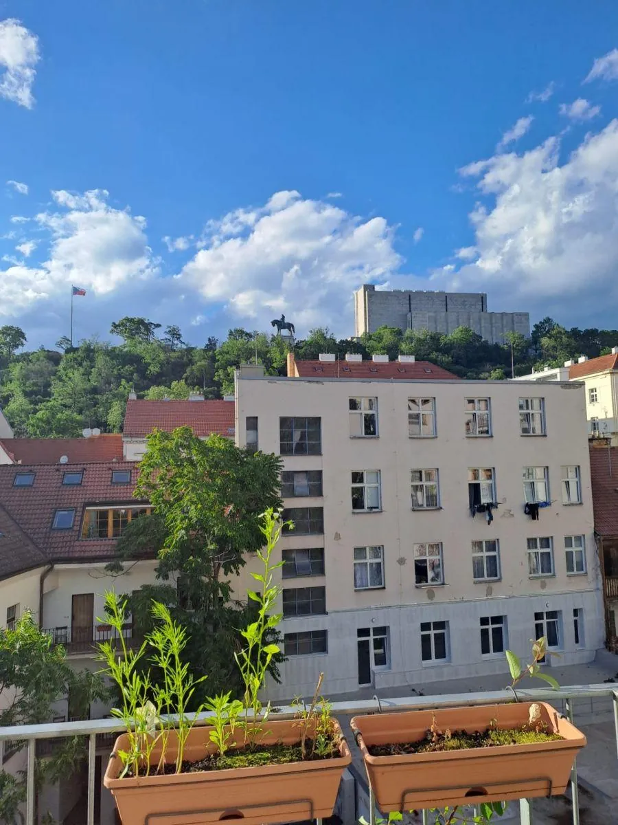 2+kk, Dalimilova, Praha 3 - Žižkov