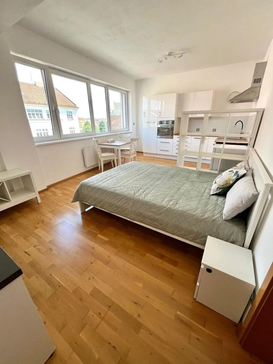 1+kk, Palackého třída, Brno-město, Jihomoravský kraj
