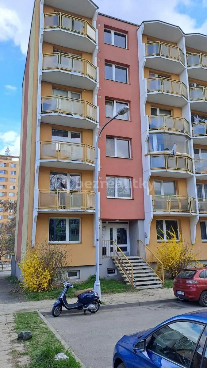 1+1, Palackého třída, Brno-město, Jihomoravský kraj