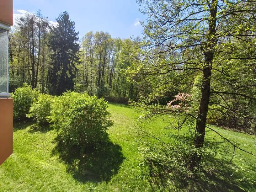 2+1, Máchova, Třinec, Frýdek-Místek, Moravskoslezský kraj