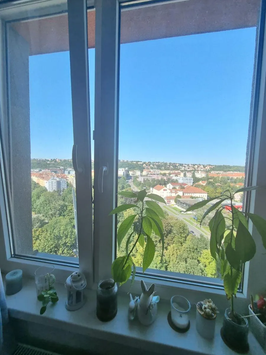 1+kk, Freyova, Praha 9 - Vysočany
