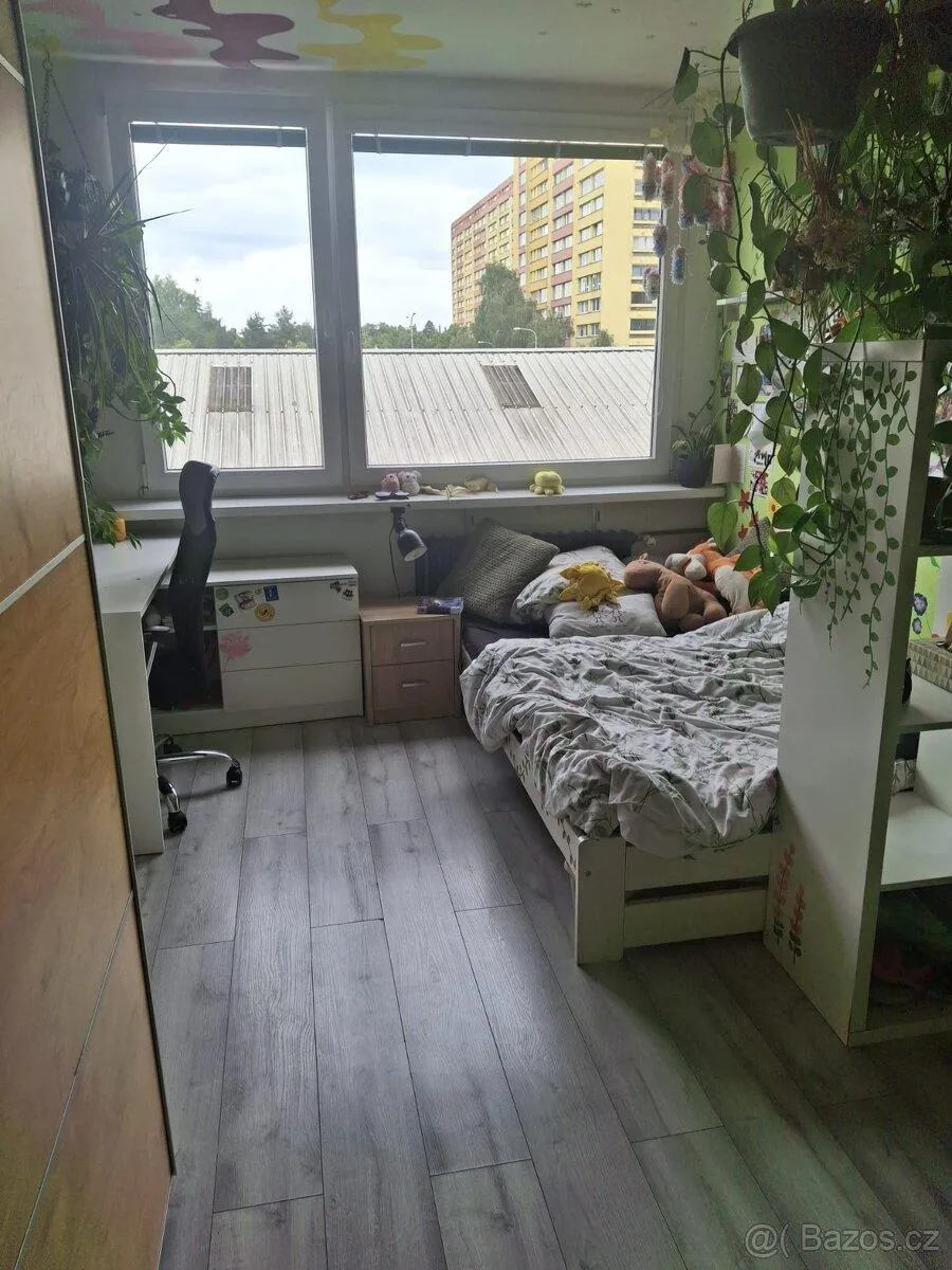 pokoj, Hlavní město Praha
