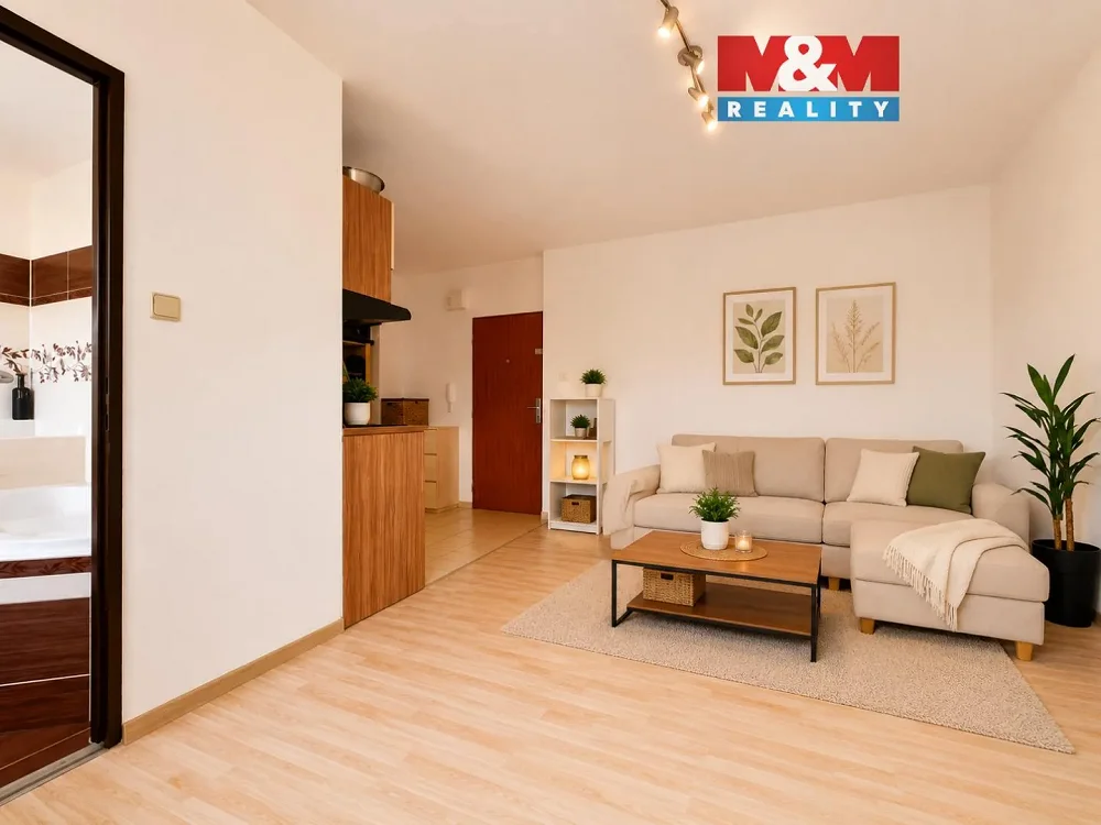 1+kk, Petra Křičky, Ostrava-město, Moravskoslezský kraj