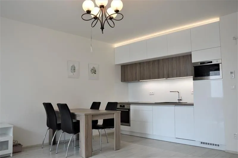 1+kk, Loudova, Olomouc, Olomoucký kraj