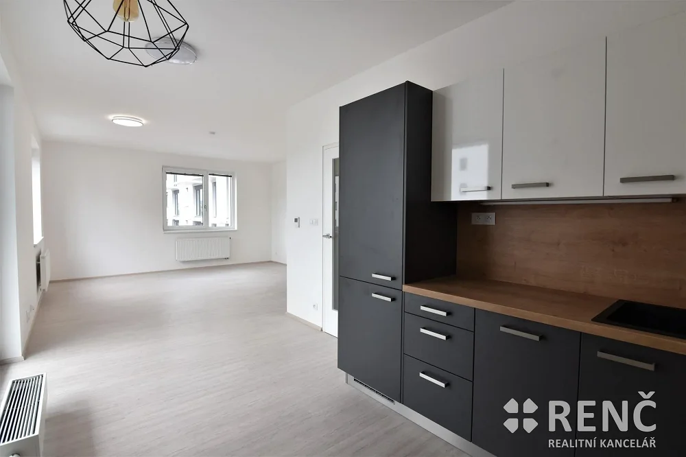 1+kk, Reissigova, Brno-město, Jihomoravský kraj