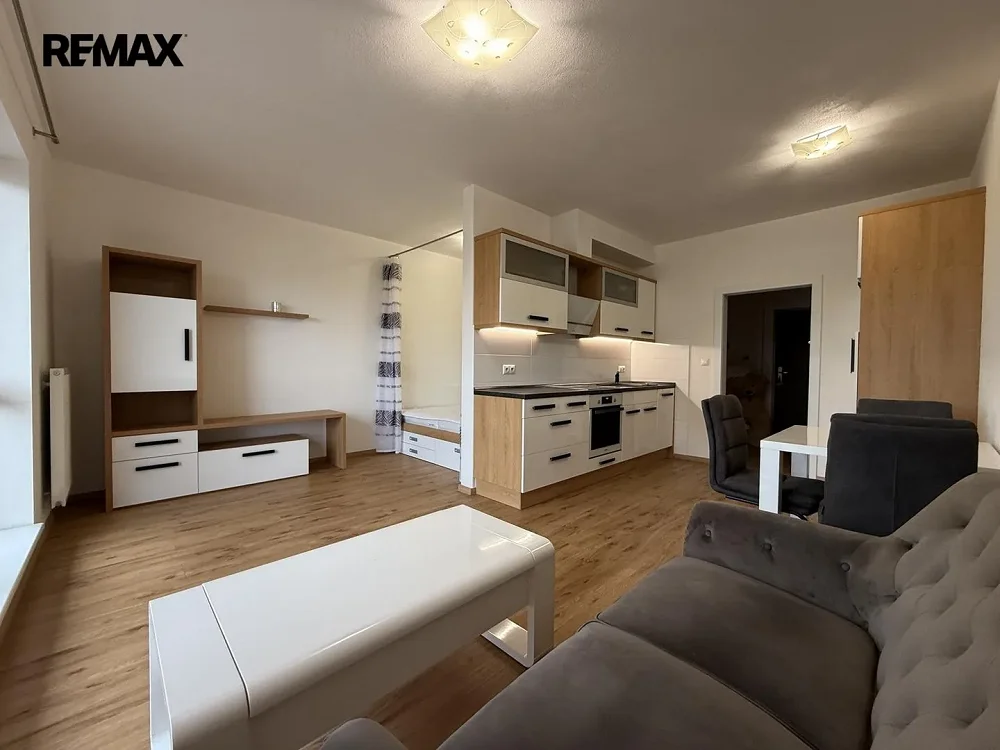 1+kk, U Borských kasáren, Plzeň-město, Plzeňský kraj