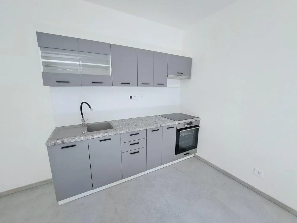 1+1, Mánesova, Plzeň-město, Plzeňský kraj