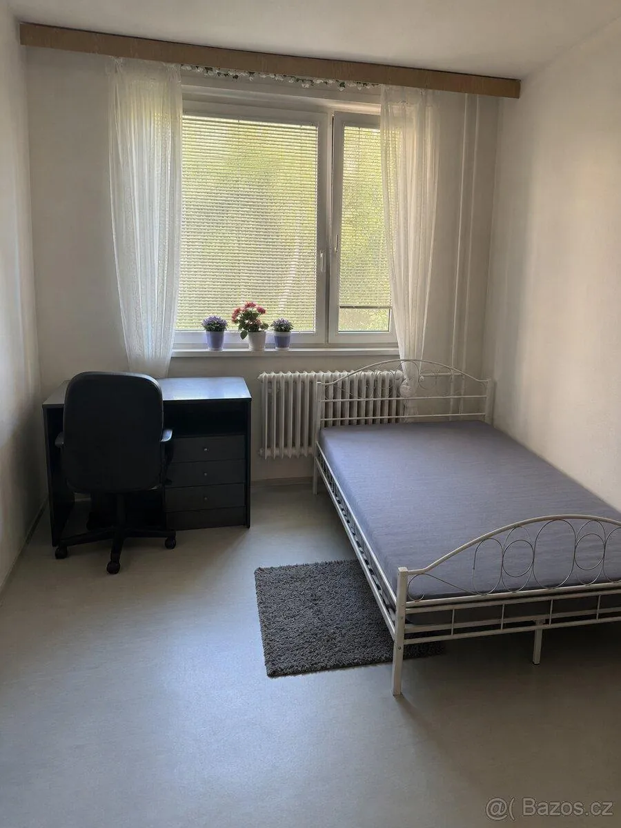 1+1, Synkova, Olomouc, Olomoucký kraj