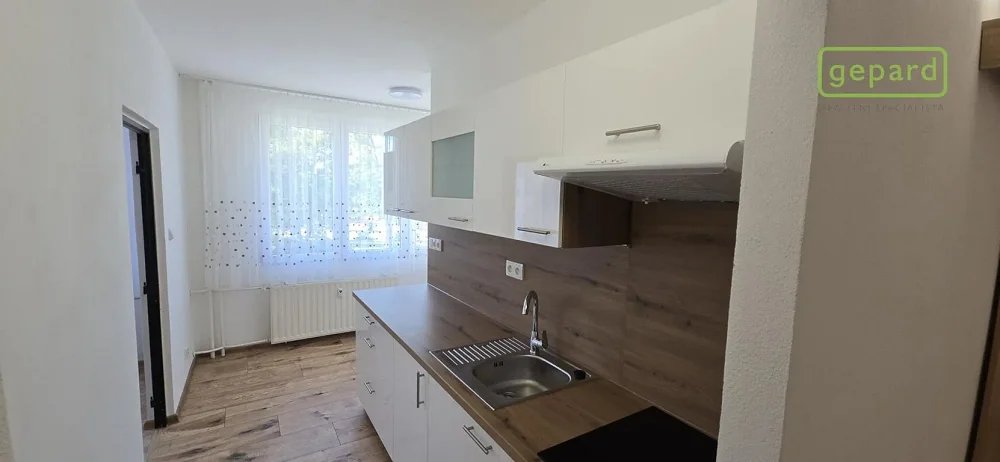 1+1, Sídliště Míru, Horní Planá, Český Krumlov, Jihočeský kraj