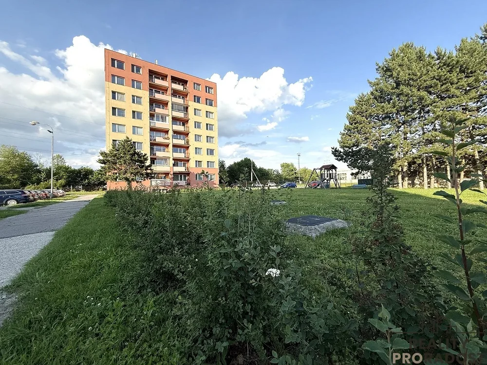 3+1, Hamerská, Olomouc, Olomoucký kraj