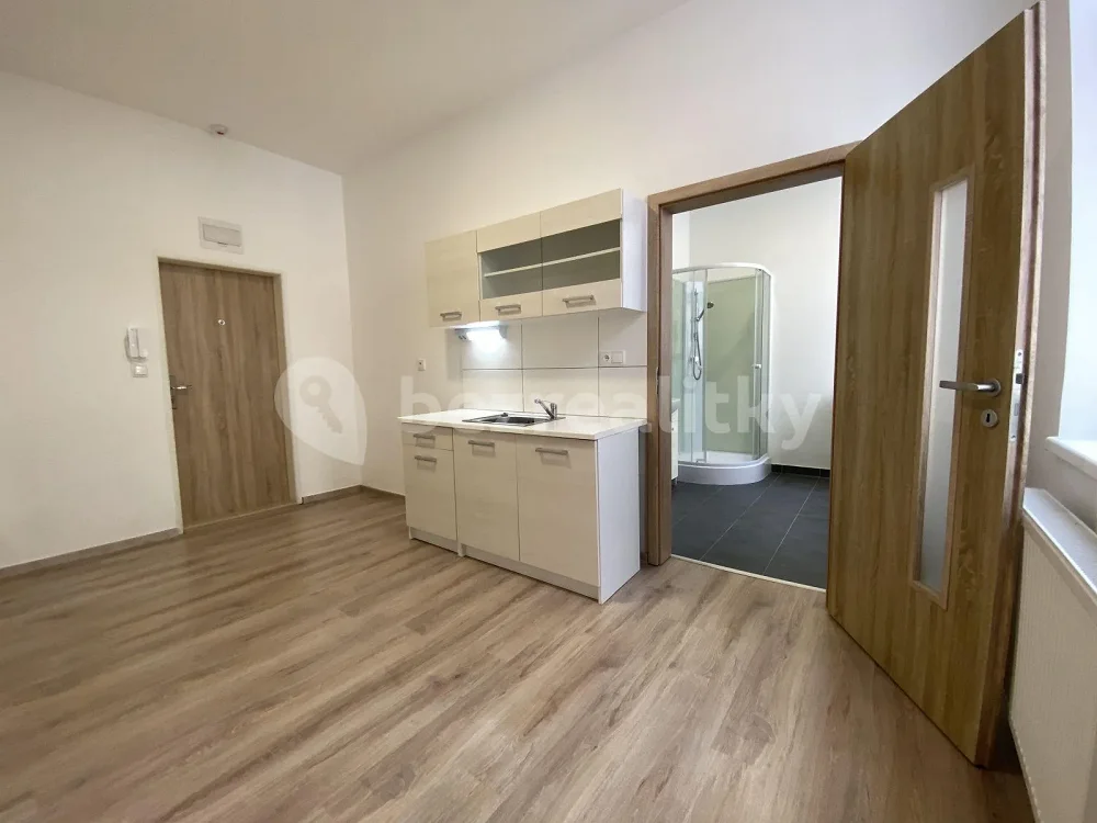 1+kk, Riegrovo náměstí, Poděbrady, Nymburk, Středočeský kraj