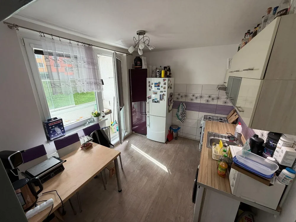 1+kk, Rerychova, Brno-město, Jihomoravský kraj