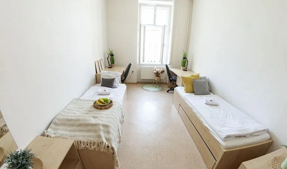 4+1, Dominikánské náměstí, Brno-město, Jihomoravský kraj