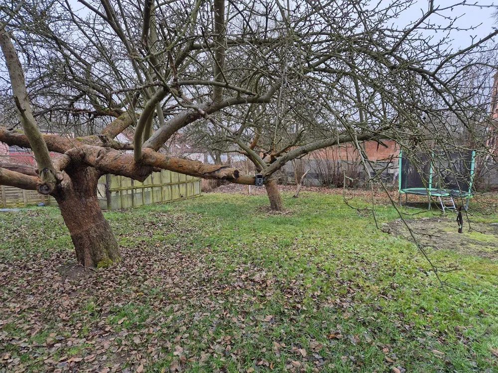 3+1, Pod Špičákem, Česká Lípa, Liberecký kraj
