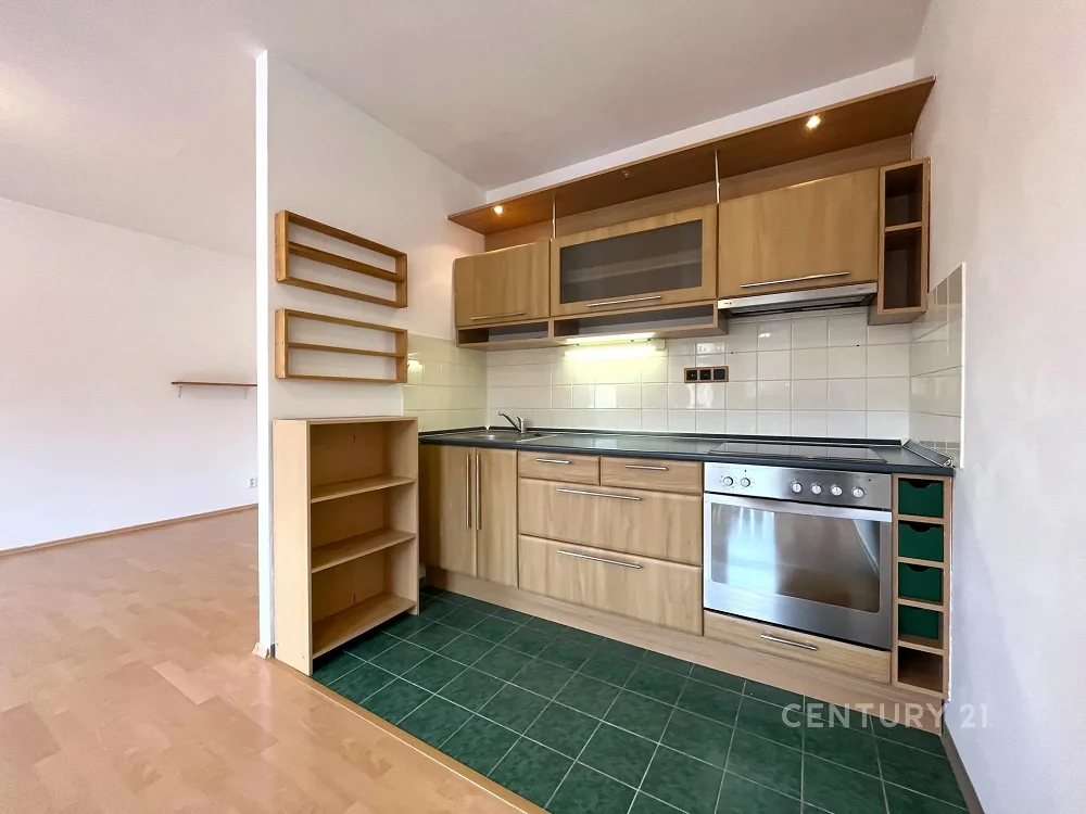 1+kk, Keřová, Brno-město, Jihomoravský kraj