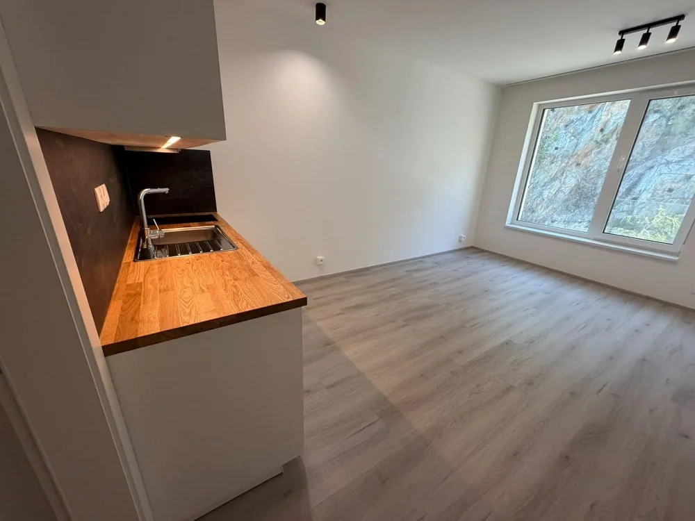 1+kk, Bystrcká, Brno-město, Jihomoravský kraj