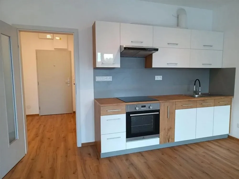 1+kk, Riegrova, České Budějovice, Jihočeský kraj