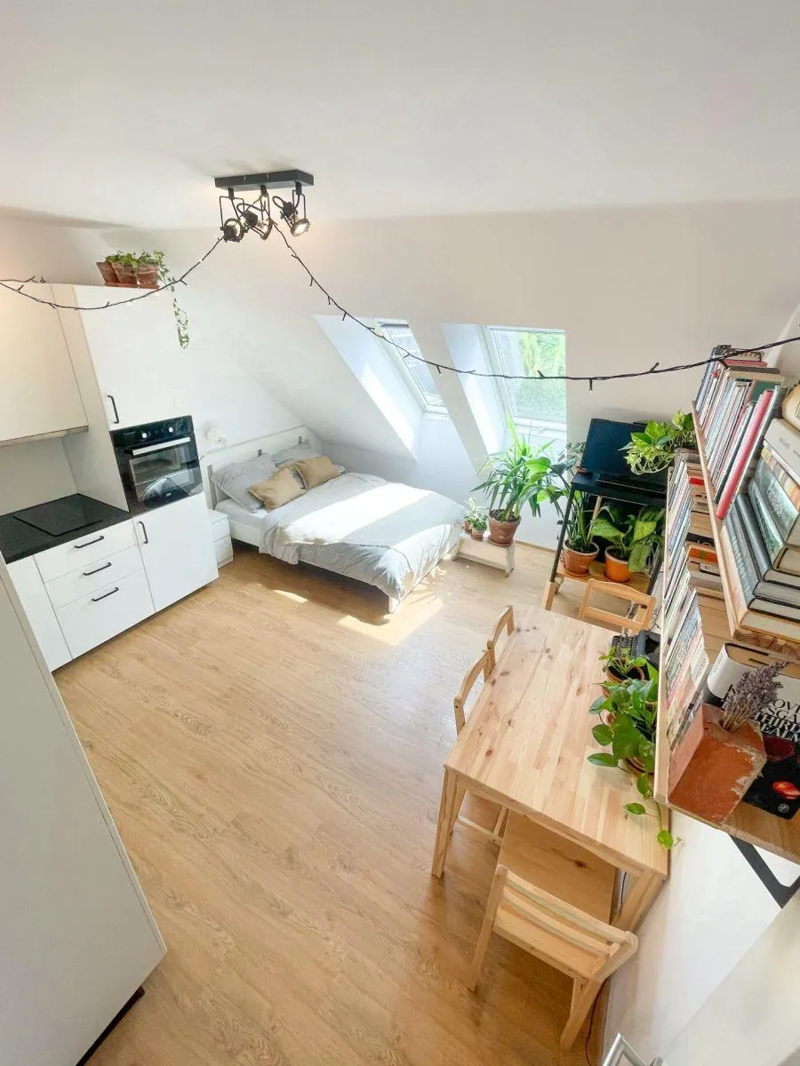 1+kk, Husovická, Brno-město, Jihomoravský kraj