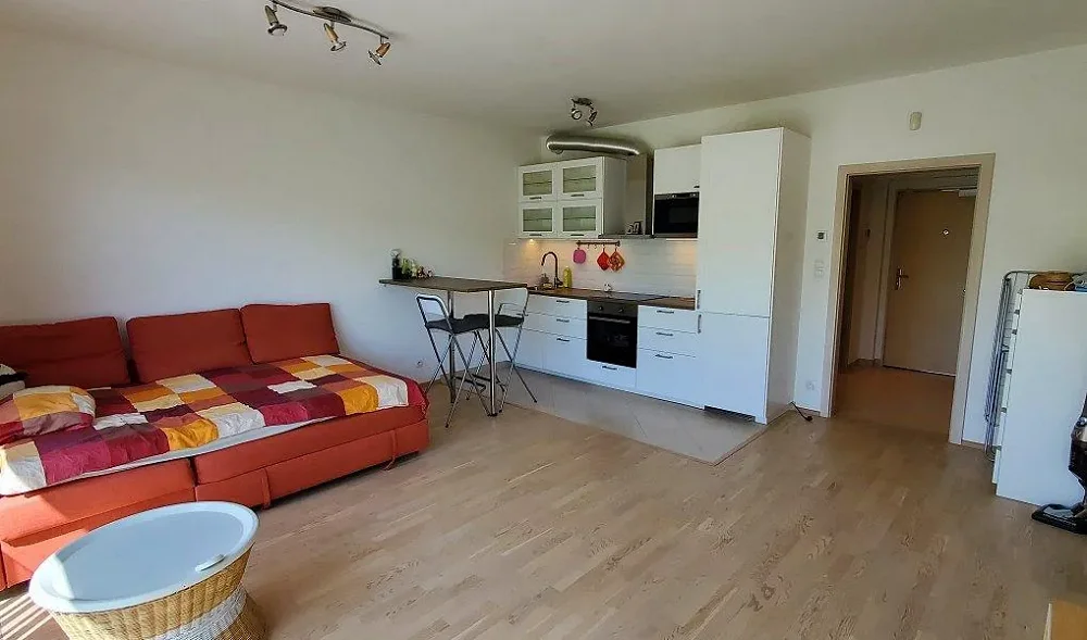 1+kk, Olšanská, Praha 3 - Žižkov