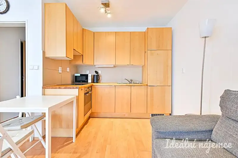 1+kk, Bělohorská, Brno-město, Jihomoravský kraj