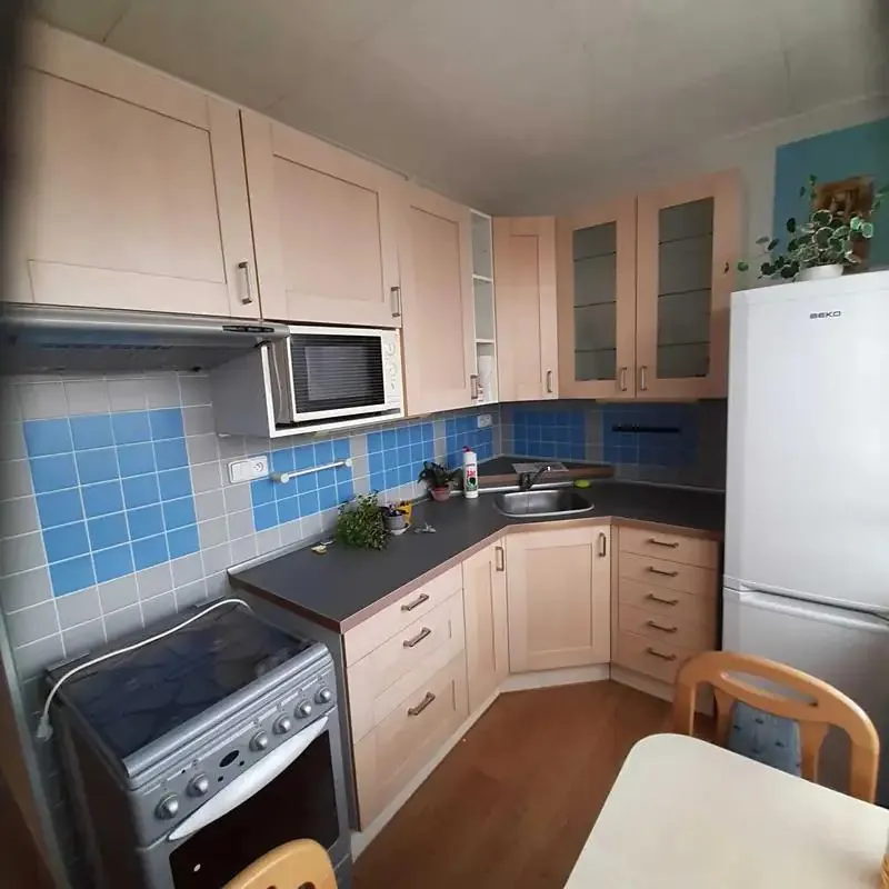 2+1, K Hájku, Nová Paka, Jičín, Královéhradecký kraj