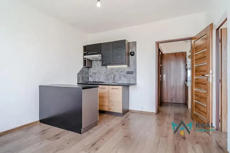 1+1, SNP, Ústí nad Labem, Ústecký kraj
