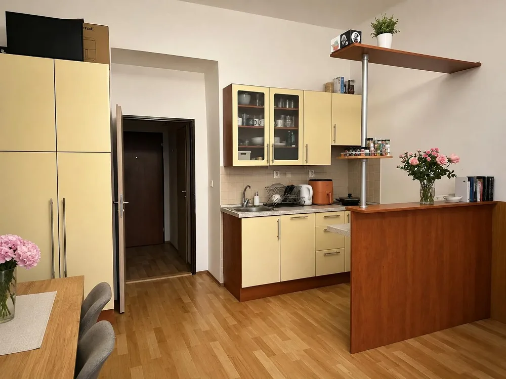 1+kk, Vinohradská, Praha 1 - Vinohrady