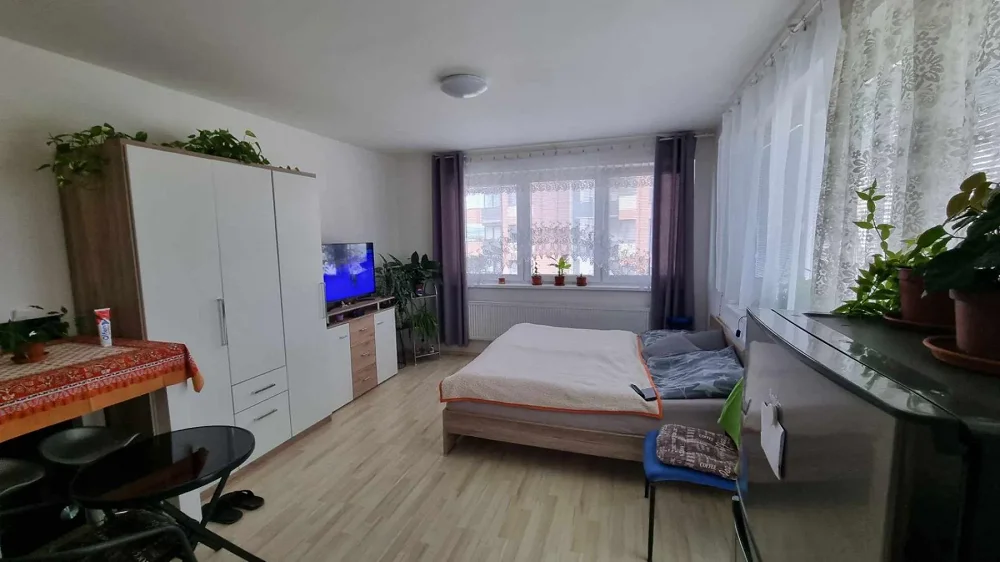 1+kk, Aloise Rašína, Olomouc, Olomoucký kraj