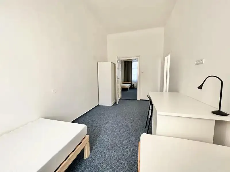 3+1, Václavská, Brno-město, Jihomoravský kraj