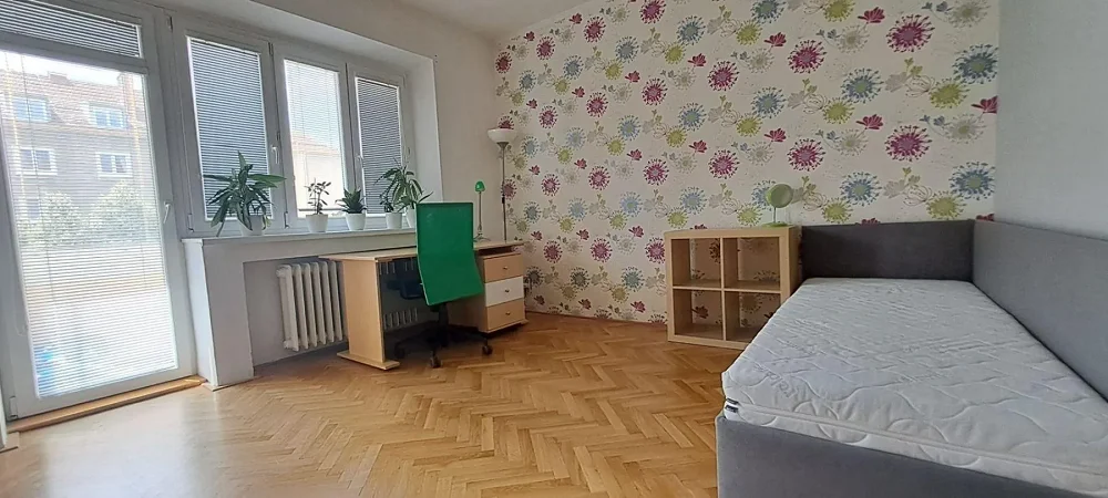 3+1, Klusáčkova, Brno-město, Jihomoravský kraj