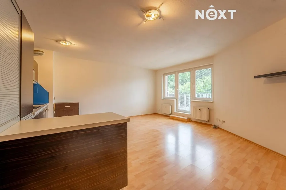 2+kk, Novovysočanská, Praha 3 - Žižkov