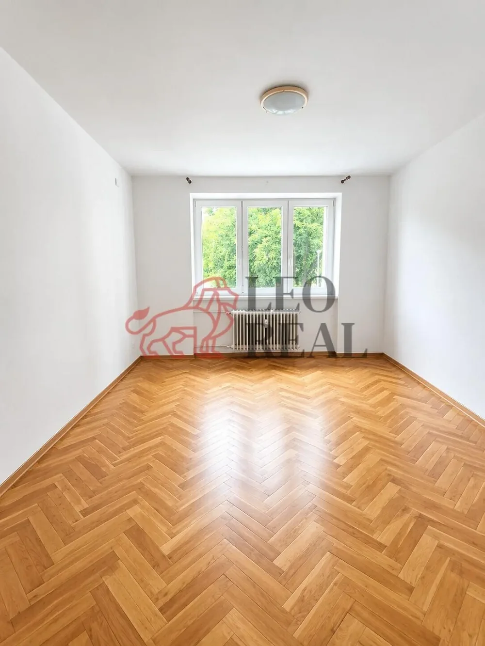 2+1, Palackého, Náměšť nad Oslavou, Třebíč, Kraj Vysočina