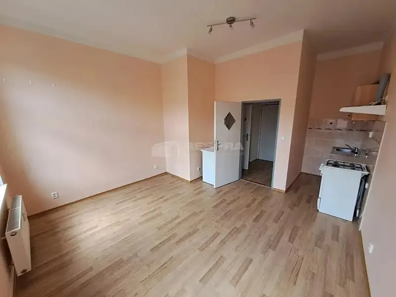 1+kk, Vlkova, Praha 3 - Žižkov