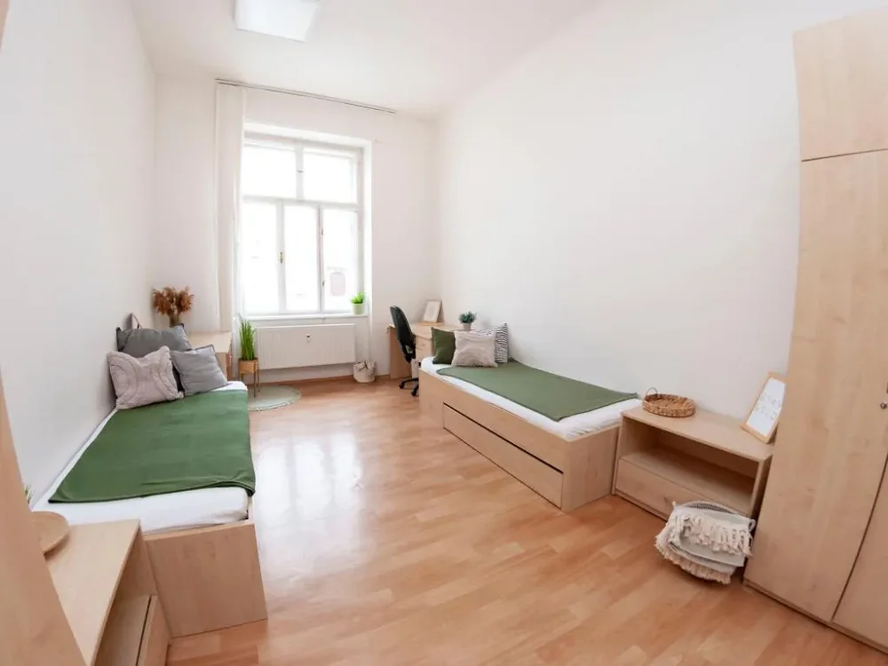 Atypický, Dominikánské náměstí, Brno-město, Jihomoravský kraj