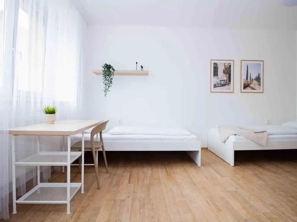 Atypický, Rumiště, Brno-město, Jihomoravský kraj