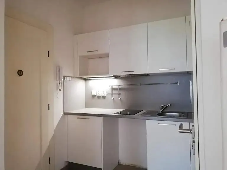 2+1, U zeměpisného ústavu, Praha 6 - Bubeneč