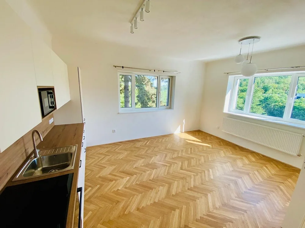 2+kk, Libušino údolí, Brno-město, Jihomoravský kraj