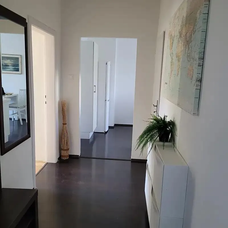 1+1, Dr. Šmerala, Ostrava-město, Moravskoslezský kraj