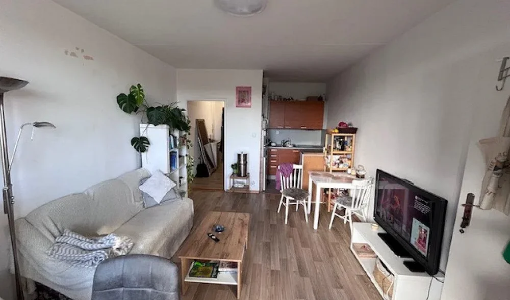2+kk, Přichystalova, Olomouc, Olomoucký kraj