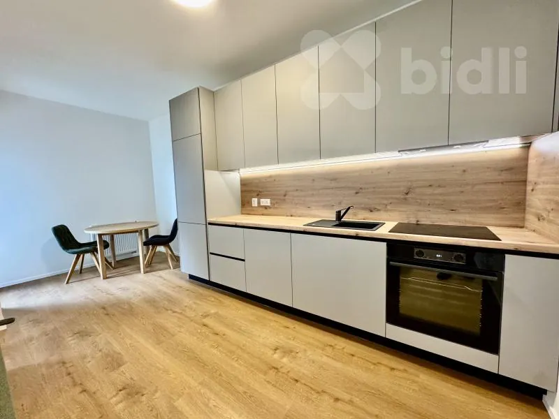 1+kk, Ghegova, Brno-město, Jihomoravský kraj