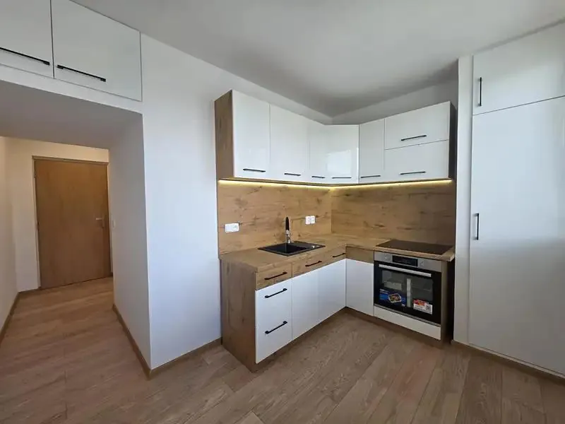 1+1, Výškovická, Ostrava-město, Moravskoslezský kraj
