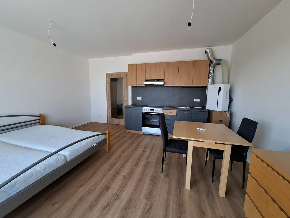 1+kk, Řepova, Brno-město, Jihomoravský kraj