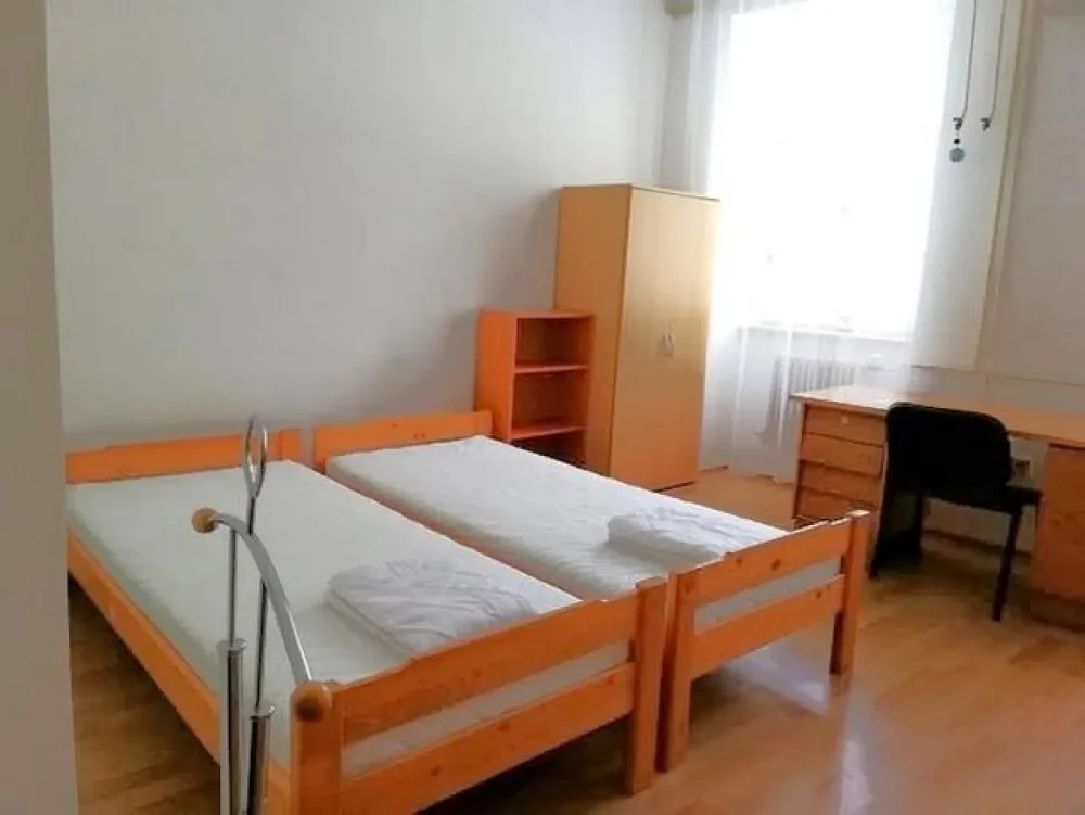 Pokoj, Traubova, Brno-město, Jihomoravský kraj