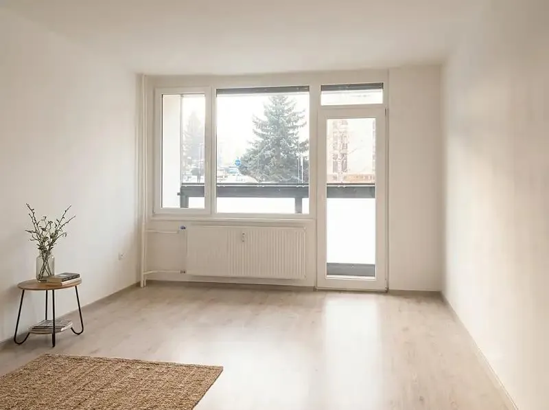 1+1, Karla Čapka, Děčín, Ústecký kraj