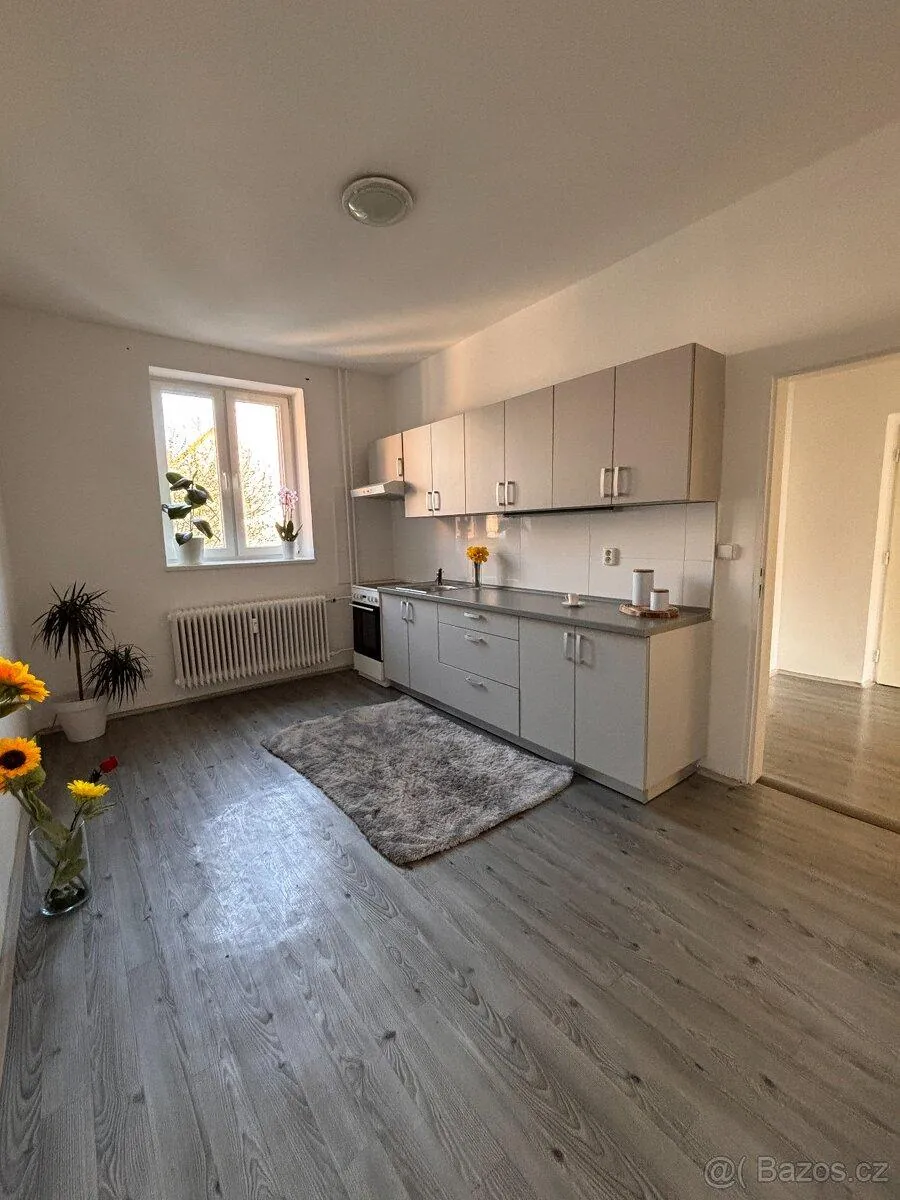 1+1, Prostorná, Ostrava-město, Moravskoslezský kraj