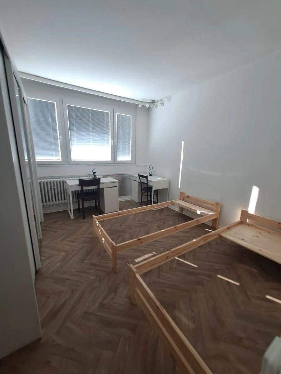 3+1, Havlenova, Brno-město, Jihomoravský kraj
