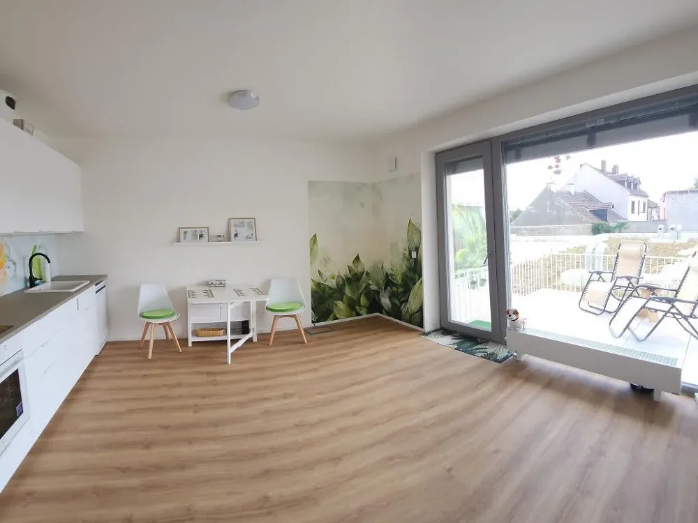 1+kk, Řepova, Brno-město, Jihomoravský kraj