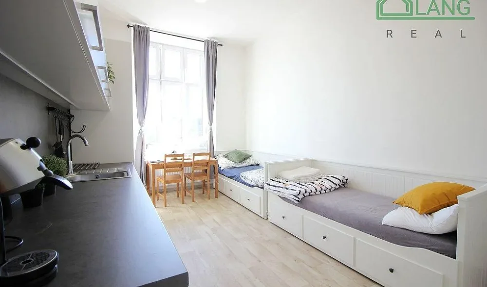 1+kk, Palackého třída, Brno-město, Jihomoravský kraj